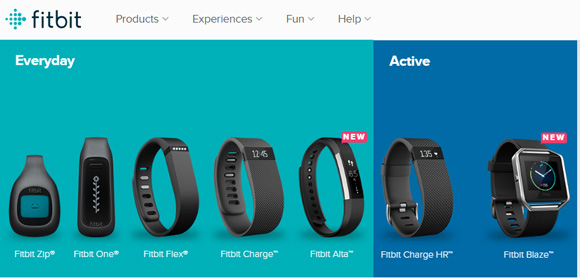 Fitbit Range