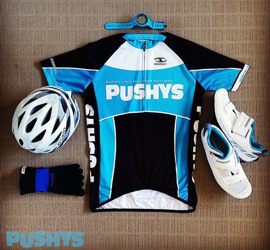 Pushys