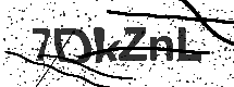 CAPTCHA Image