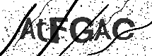 CAPTCHA Image